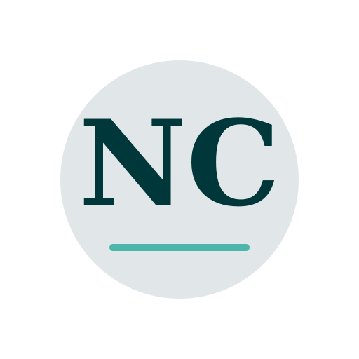 Nara Chimney Repair logo